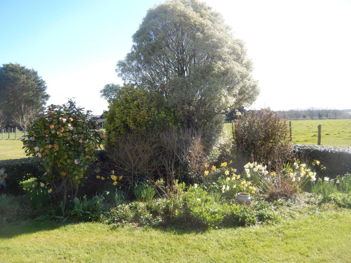 PlouvornLe Tregonnec, Pres De Morlaix, Roscoff住宿加早餐旅馆 外观 照片