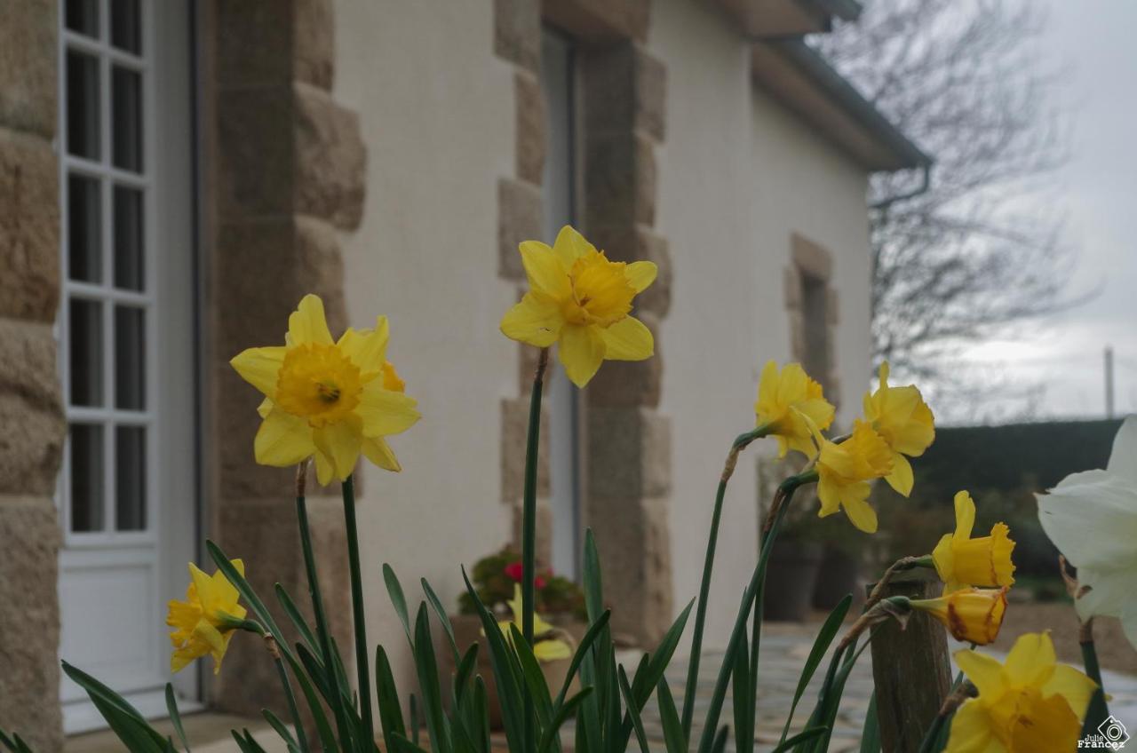 PlouvornLe Tregonnec, Pres De Morlaix, Roscoff住宿加早餐旅馆 外观 照片
